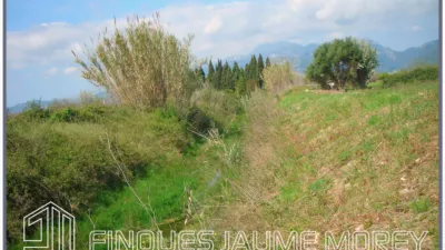 Rustic property on Camí des Pous, no. sn photo 35