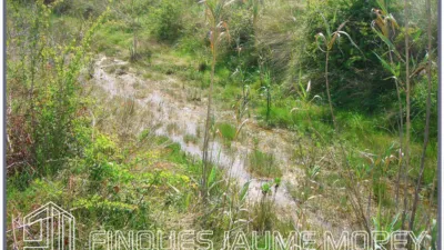 Rustic property on Camí des Pous, no. sn photo 36
