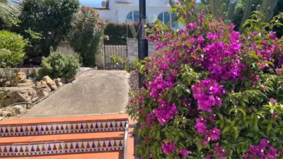 Apartment on Carrer del Roure photo 23