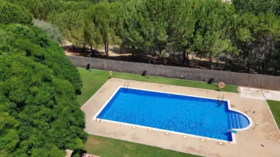 Apartment in Camí dels Paperers photo 37