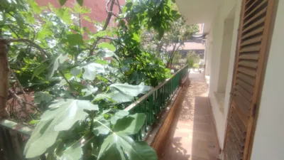 House on Carrer d'Alacant photo 39