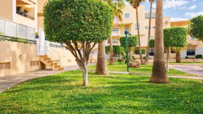 Apartment on Calle Gavia photo 27