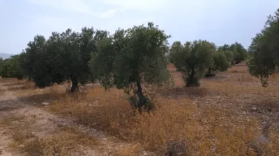 Terreno en venta en Calle del Campo de Mirra, 4 - Más