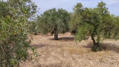 Terreno en venta en Calle del Campo de Mirra, 4 - Vista 2