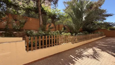 Apartment in San Gabriel photo 49