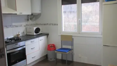 Apartment in Llodio - Laudio photo 3