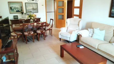 Casa – Sant Vicent del Raspeig - San Vicente del Raspeig - Vista 3