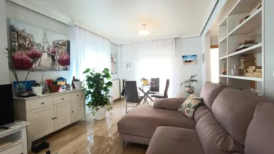 Chalet en Petrer photo 12