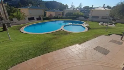 Chalet en Petrer photo 8