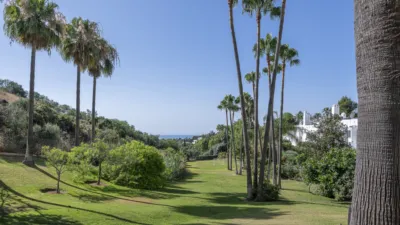 Apartment on Sierra de Cazorla Street, 1 photo 29