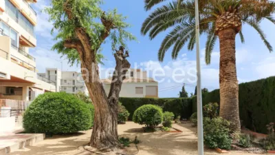 Apartment for sale on Varadero Street photo 34