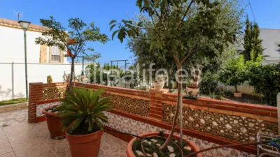 Detached House on Avenida de las Acacias photo 65