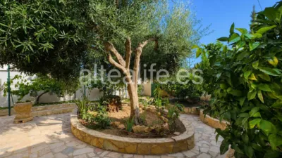 Detached House on Avenida de las Acacias photo 66