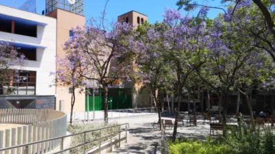 House on Carrer d'en Baró photo 42