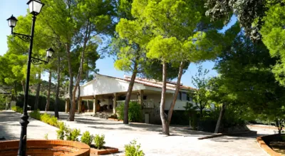 Apartment on Calle Silla Ca Aldea de Fresno photo 4