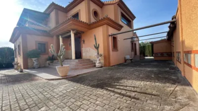 Rustic chalet in Costa Natura photo 3