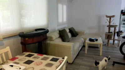 Apartment in Les Termes photo 24