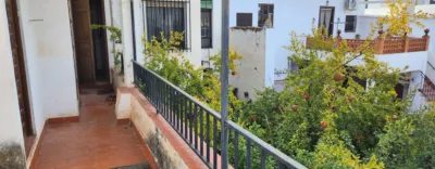 House on Calle de la Palma photo 26