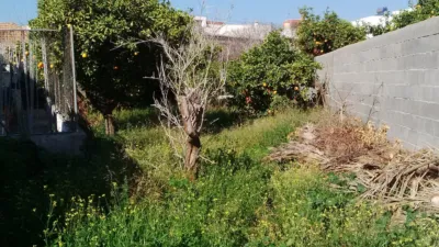 House on Calle de la Palma photo 22