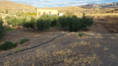 Rustic Finca on Camino Gérgal photo 15