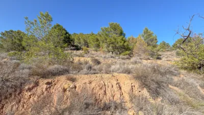 Terreno en venta en Calle Partida Sentenilla - Vista 5