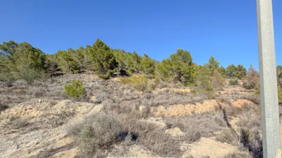 Terreno en venta en Calle Partida Sentenilla - Vista 3