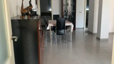 Apartment in Conil de la Frontera photo 10