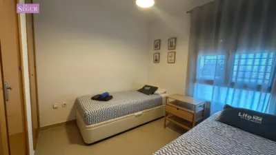 Apartment in Conil de la Frontera photo 17