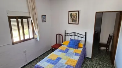 House in Vejer de la Frontera photo 20