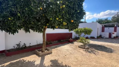 House in Vejer de La Frontera photo 4