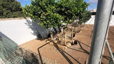 House in Vejer de La Frontera photo 14