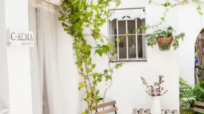 Apartment in Vejer de la Frontera photo 15