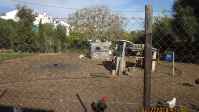 House in Vejer de La Frontera photo 4