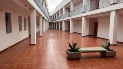 Apartment in Conil de la Frontera photo 35