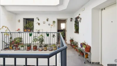Apartment in El Mentidero-Teatro Falla-Alameda photo 28