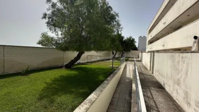 Ground floor flat in Conil de la Frontera photo 42