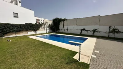 Ground floor flat in Conil de la Frontera photo 45