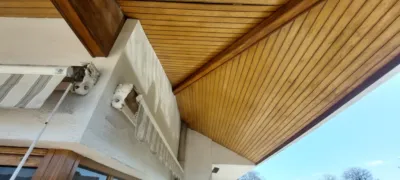 Chalet in La Sagrera photo 30