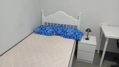 Flat on Calle Jose Antonio Ponzoa photo 24