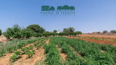 Casa en venta en Calle de los Hermanos Machado, Olivares de 350.000 €