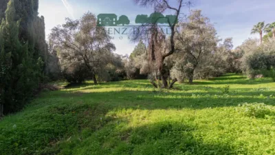 Chalet en venta en Calle de los Villares Altos, 1, Santa Eufemia (Tomares) de 725.000 €
