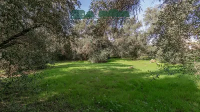 Chalet en venta en Calle de los Villares Altos, 1, Santa Eufemia (Tomares) de 725.000 €
