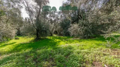 Chalet en venta en Calle de los Villares Altos, 1, Santa Eufemia (Tomares) de 725.000 €