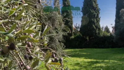 Chalet en venta en Calle de los Villares Altos, 1, Santa Eufemia (Tomares) de 725.000 €