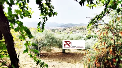 Rustic house in Monda photo 22