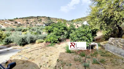 Rustic house in Monda photo 27