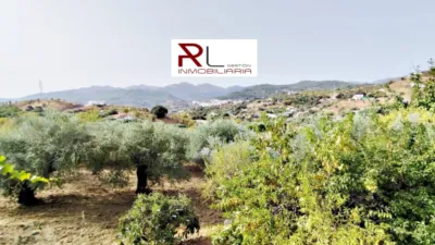 Rustic house in Monda photo 6