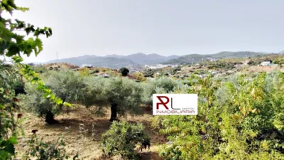 Rustic house in Monda photo 15