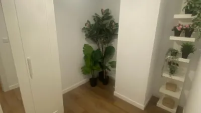 Apartment at Glorieta del Marqués de Vadillo, 1 photo 28