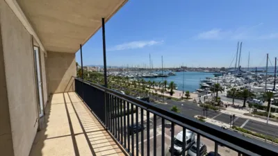 Apartment on Avinguda de Gabriel Roca photo 6